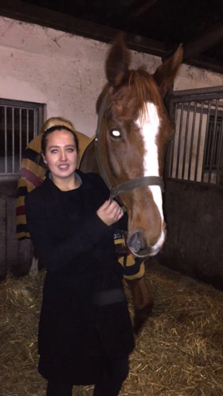 Dansk Varmblod Kildebo's Laurina - Lige kommet hjem :) billede 6