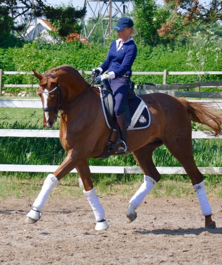 Dansk Varmblod Kildebo's Laurina - Laurina og tidl. ejer billede 9
