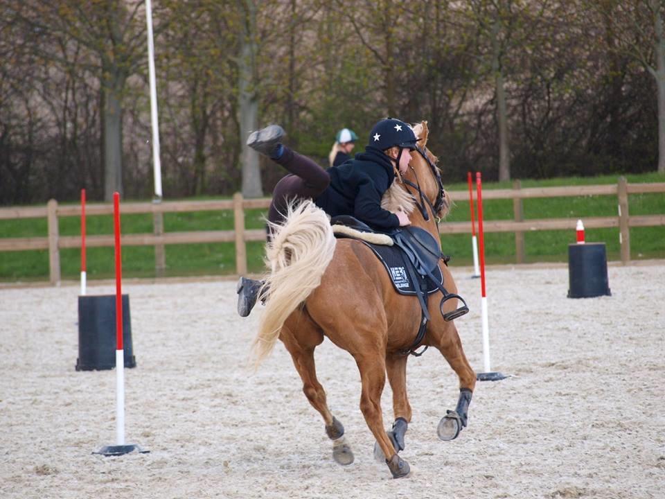 Palomino Rosendahls Golden Mihalie - Nordic Team Championship på Vallensbæk 2016 billede 9