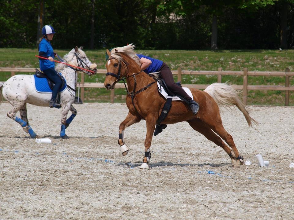 Palomino Rosendahls Golden Mihalie - DM par på Vallensbæk 2016 billede 5