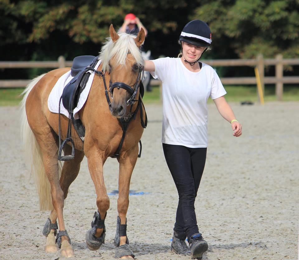 Palomino Rosendahls Golden Mihalie - VM par på Vallensbæk 2016 - John viser sig fra sin pæne side her, mens jeg ligner lidt en kegle  billede 6