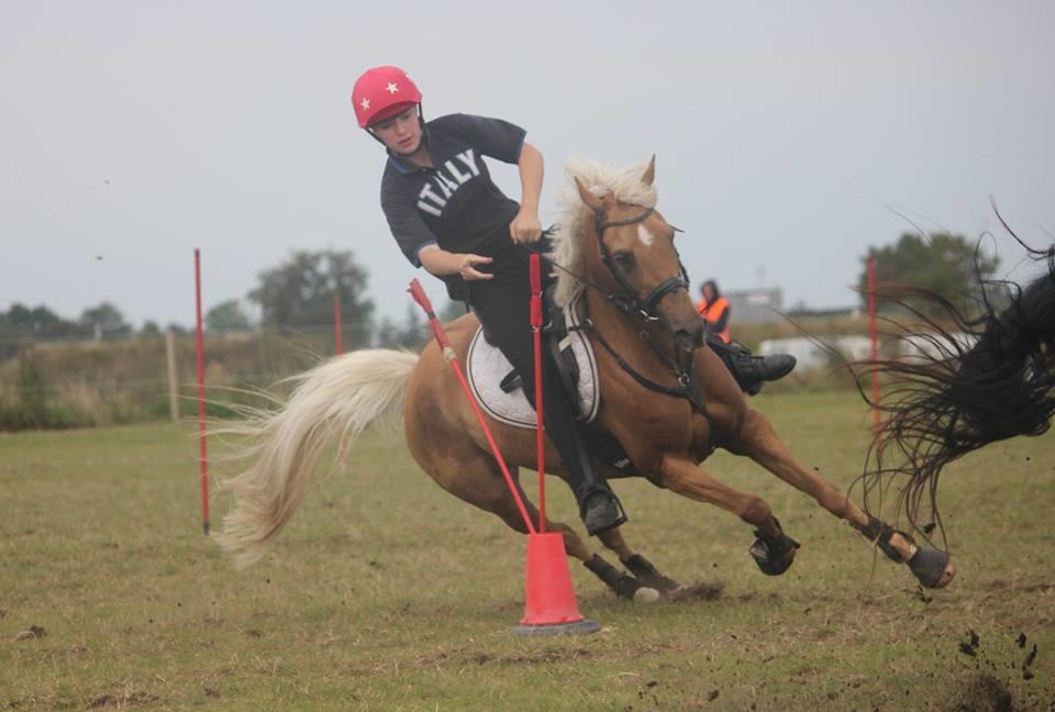 Palomino Rosendahls Golden Mihalie - DM individuelt 2016  billede 1