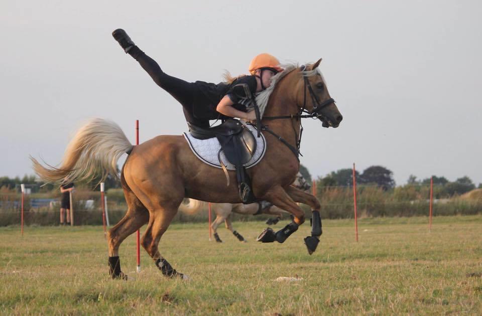 Palomino Rosendahls Golden Mihalie - DM individuelt 2016  billede 14