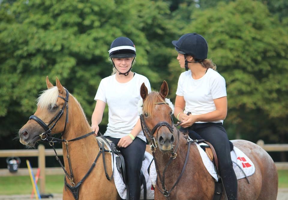 Palomino Rosendahls Golden Mihalie - VM par på Vallensbæk 2016 billede 10