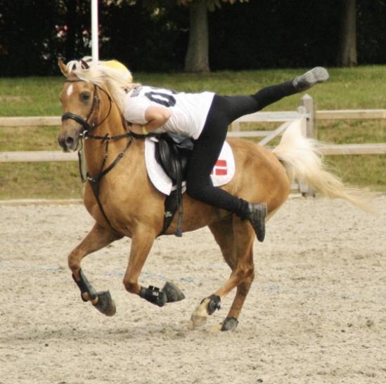 Palomino Rosendahls Golden Mihalie - VM par på Vallensbæk 2016 billede 16