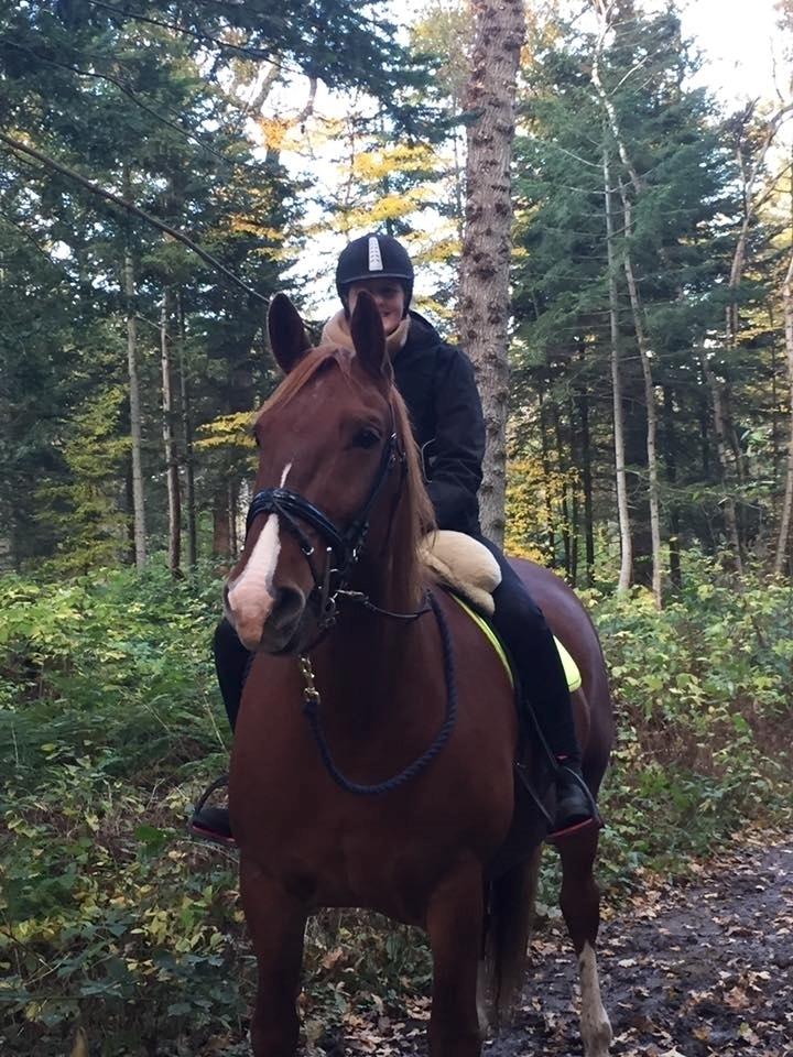Frederiksborg Aslan - En af de første gange i skoven med rytter. Pavestolt af ham billede 13