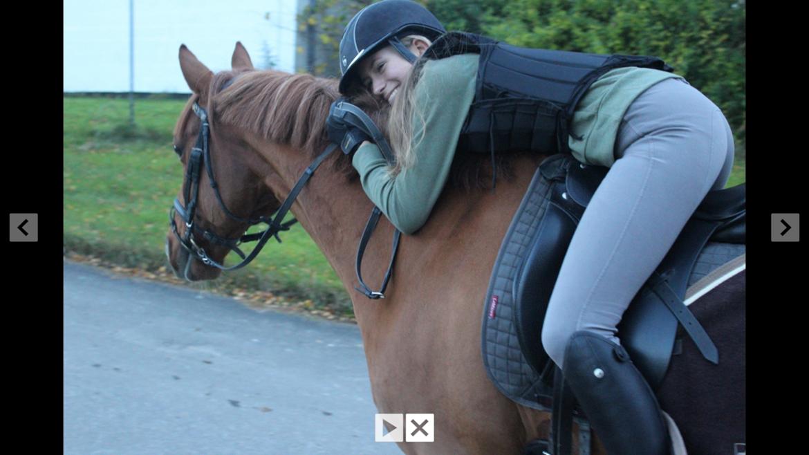 DSP Flying Rex billede 8