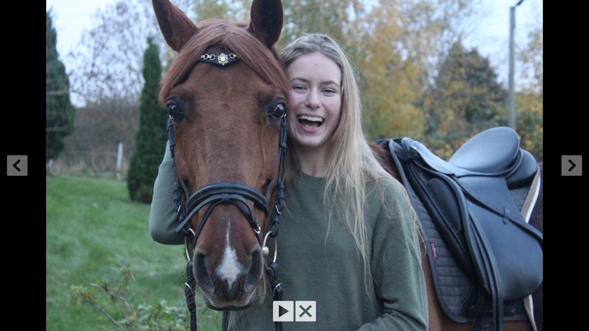 DSP Flying Rex billede 9