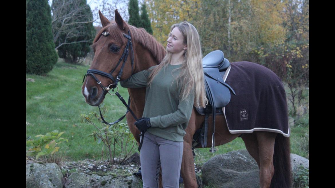 DSP Flying Rex billede 10