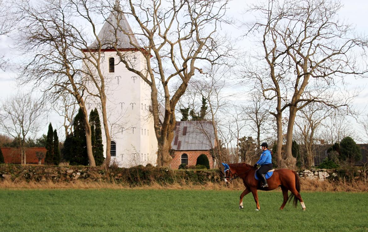 Anden særlig race Peter Pan (SOLGT) * For evigt elsket <3* billede 18