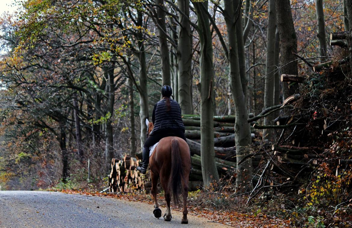Anden særlig race Peter Pan (SOLGT) * For evigt elsket <3* billede 25