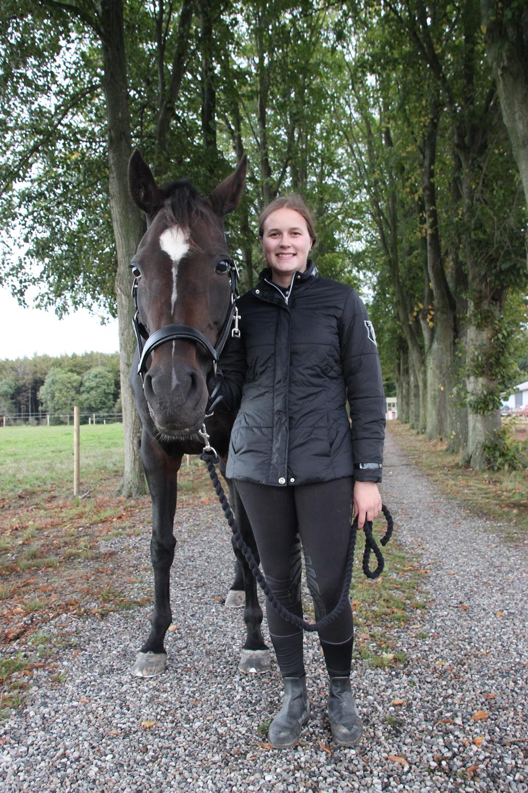 Dansk Varmblod Alexandra - "Halløj verden!" Alexandra er simpelthen så dejlig nysggerig! - oktober 2016 - Foto: Sille Sejer billede 4