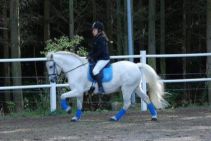 Anden særlig race Super star billede 3