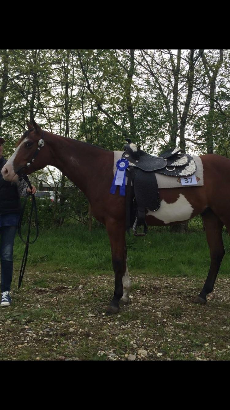 Paint HINTCOLONELJUSTINTIME billede 9