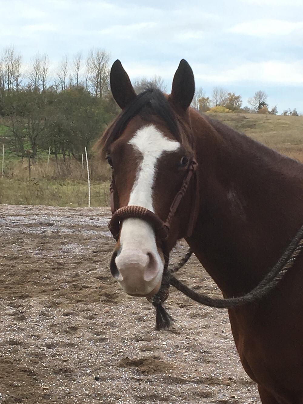 Paint HINTCOLONELJUSTINTIME billede 8