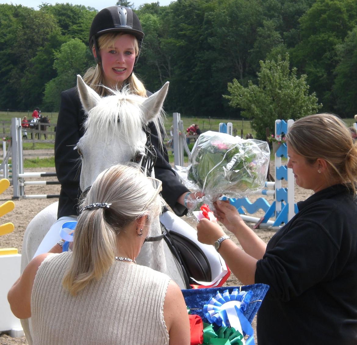 Anden særlig race Gucci billede 6