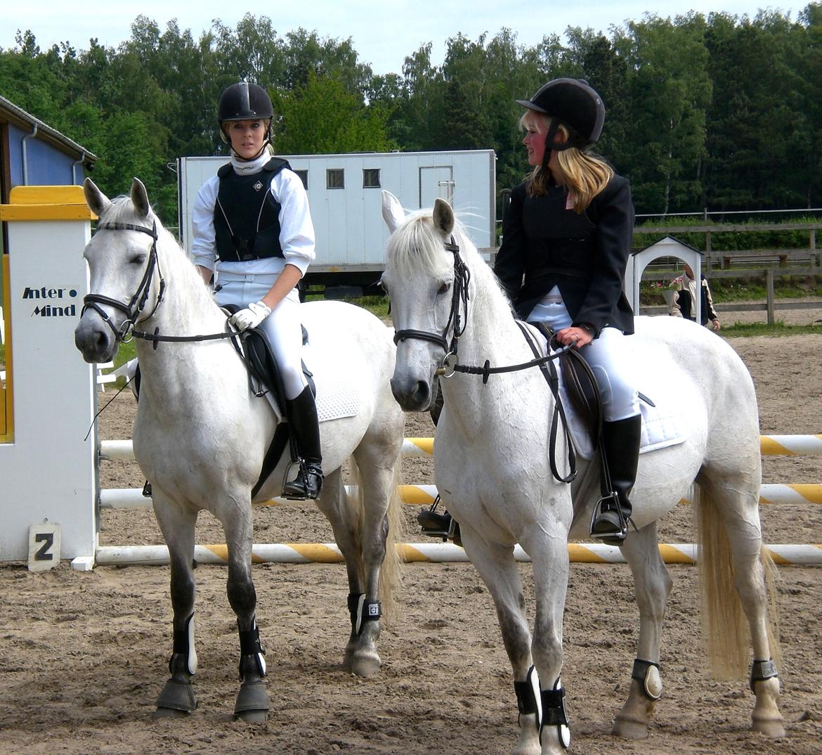 Anden særlig race Gucci billede 4