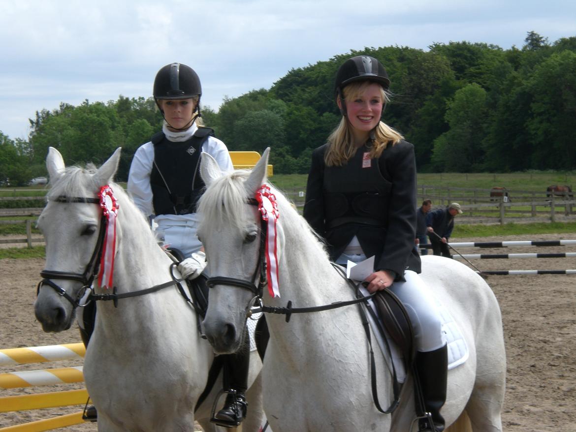 Anden særlig race Gucci billede 5