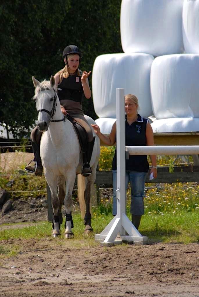 Anden særlig race Gucci billede 12