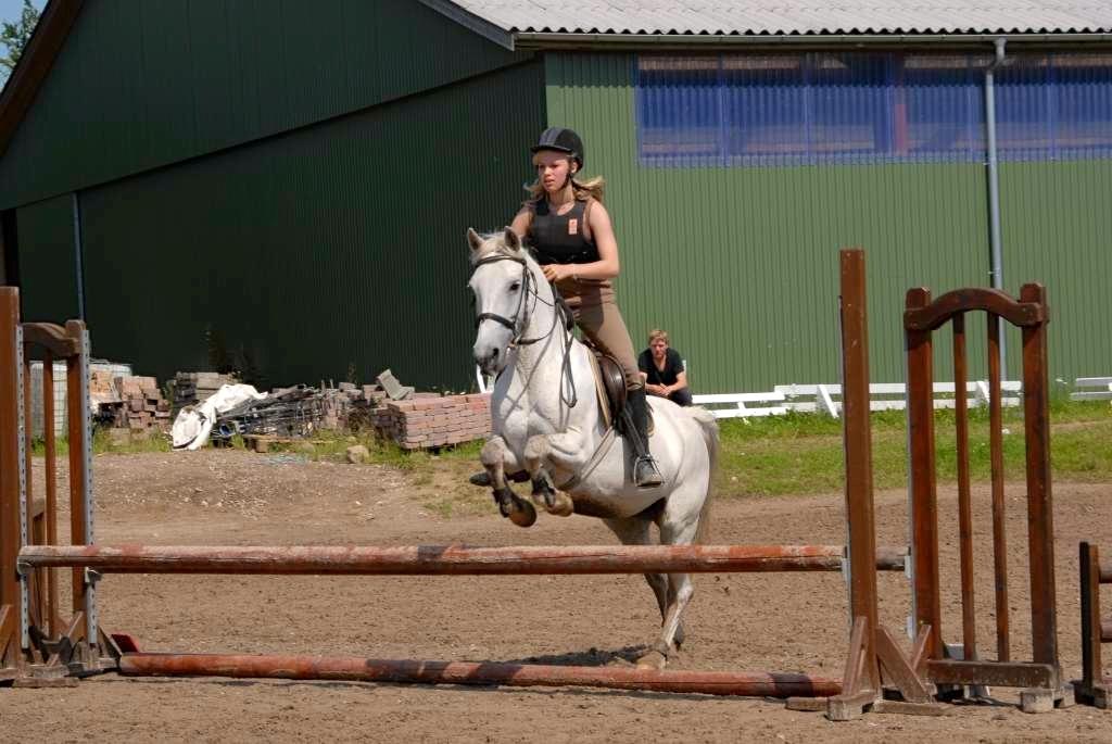 Anden særlig race Gucci billede 14