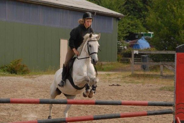 Anden særlig race Gucci billede 17