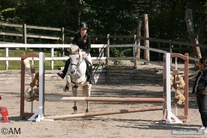 Anden særlig race Gucci billede 19