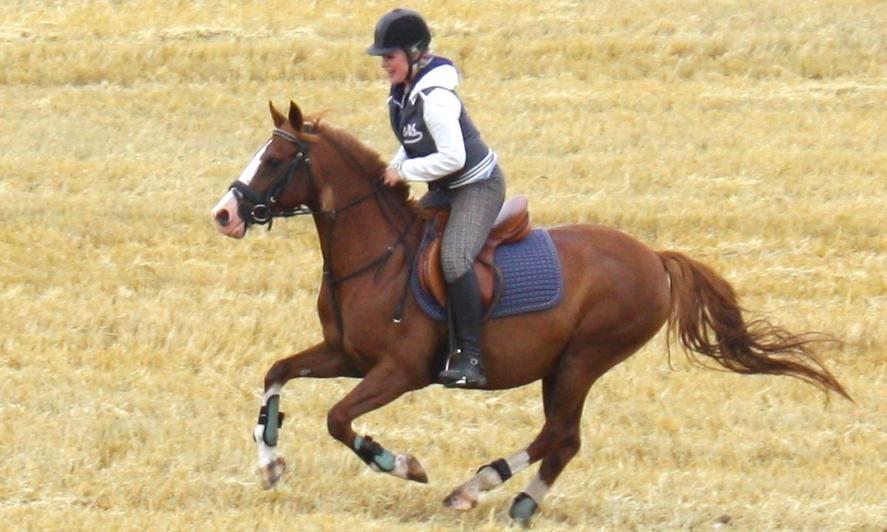 DSP Rugholms Kaktus billede 14