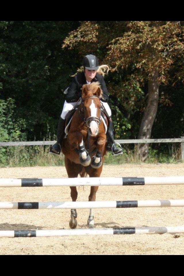 DSP Rugholms Kaktus billede 5