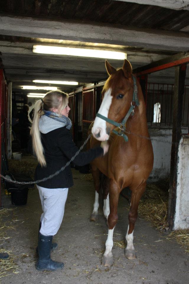 DSP Rugholms Kaktus billede 7