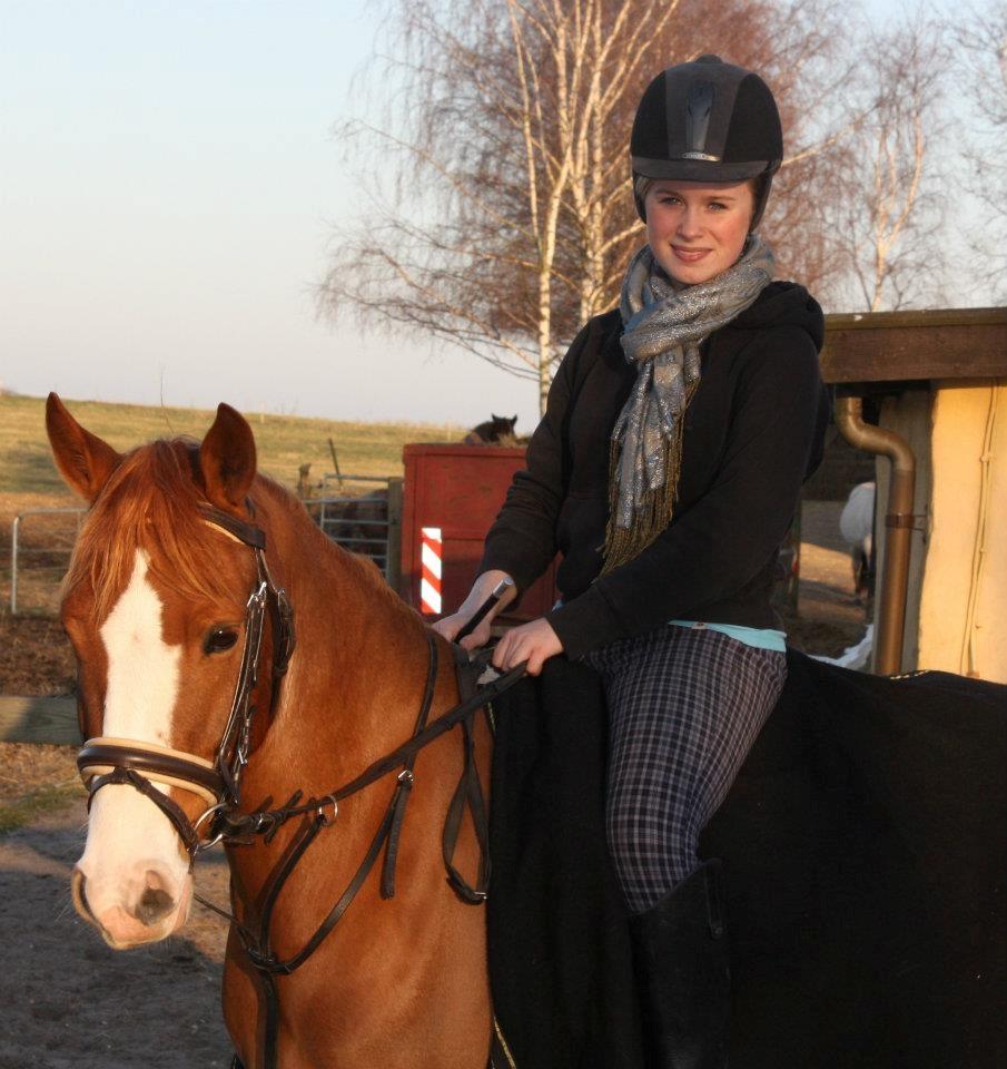 DSP Rugholms Kaktus billede 2