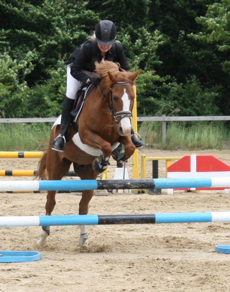 DSP Rugholms Kaktus billede 10