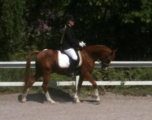 DSP Rugholms Kaktus billede 13