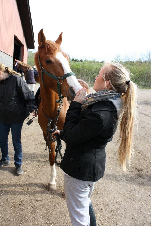 DSP Rugholms Kaktus billede 1