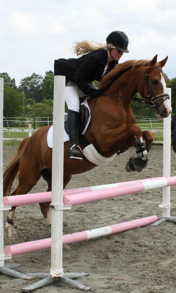 DSP Rugholms Kaktus billede 16