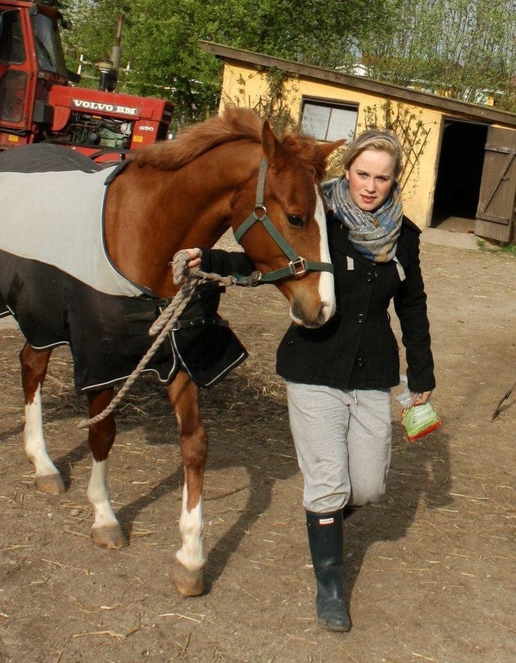 DSP Rugholms Kaktus billede 8