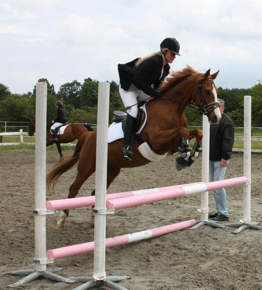 DSP Rugholms Kaktus billede 20