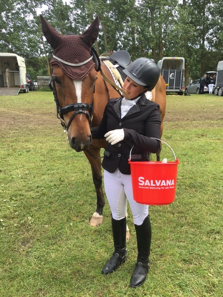 Dansk Varmblod Dragonfly graftebjerg billede 1