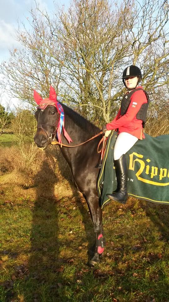 New Forest Elmholts Desiré - HOSK 4. december 2016 billede 20