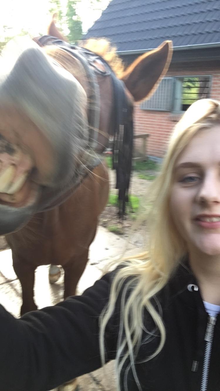 Dansk Varmblod Højbos Kia-Ora  - Vi smiler til kameraet :)  billede 8