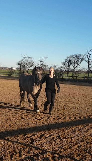 Anden særlig race Skovbjerggaards Astucia "Asti" billede 3