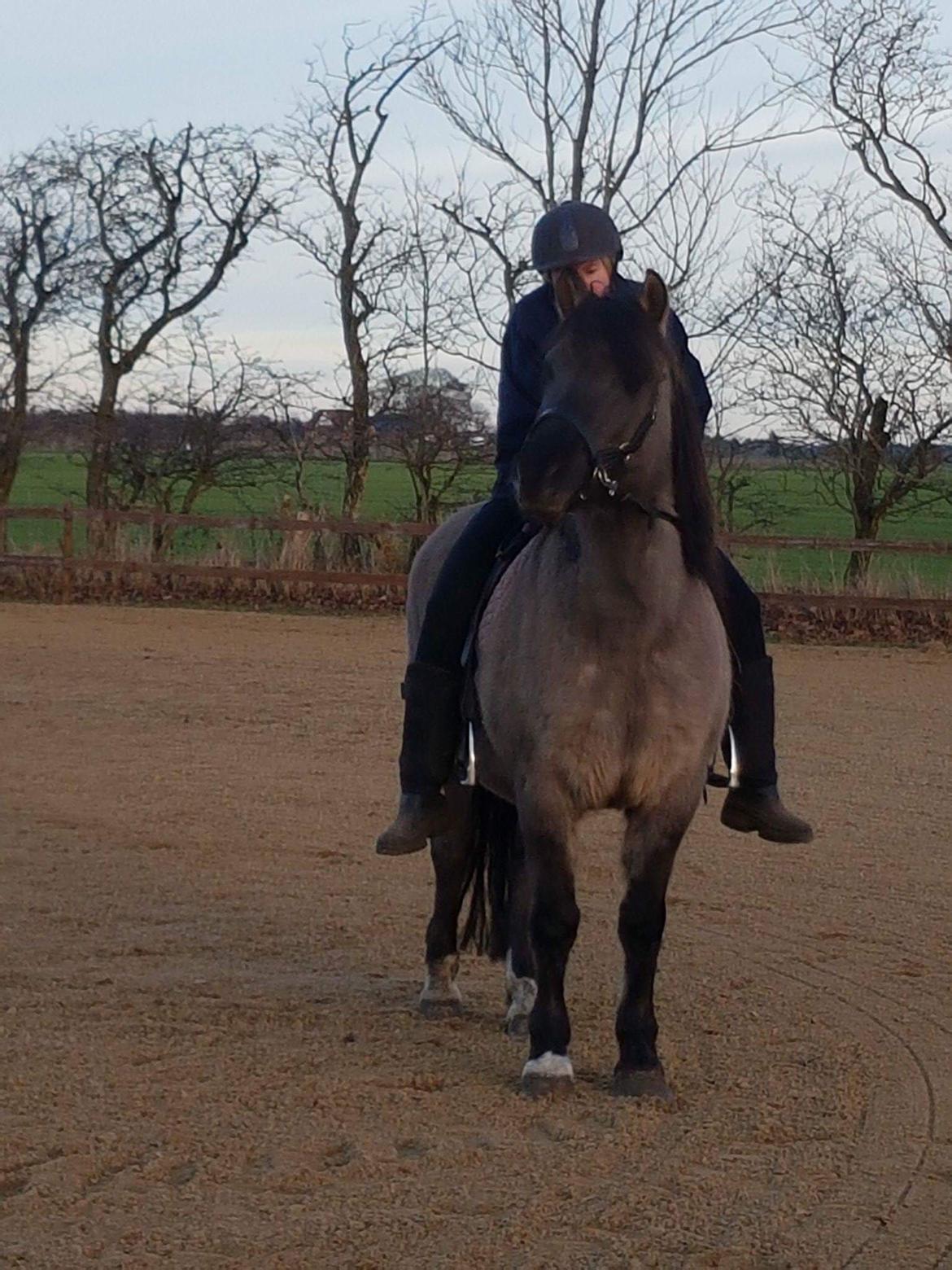 Anden særlig race Skovbjerggaards Astucia "Asti" billede 5