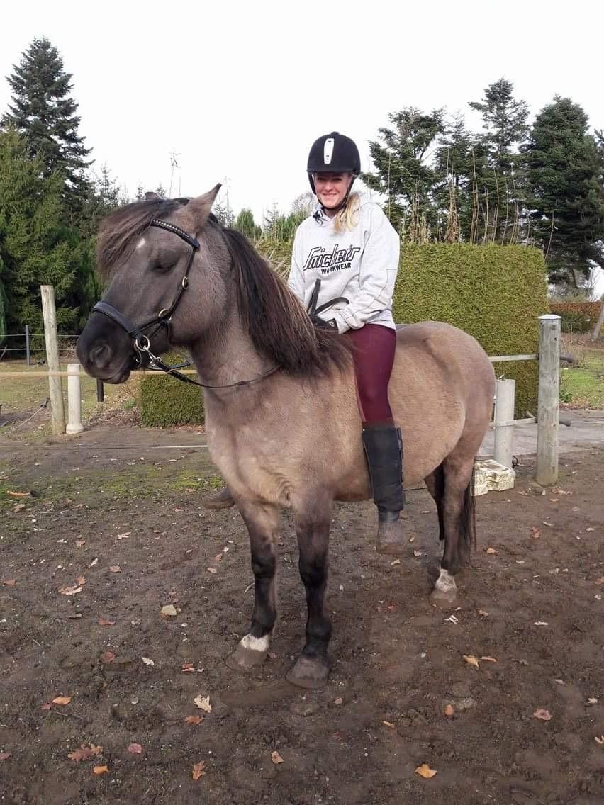 Anden særlig race Skovbjerggaards Astucia "Asti" billede 7