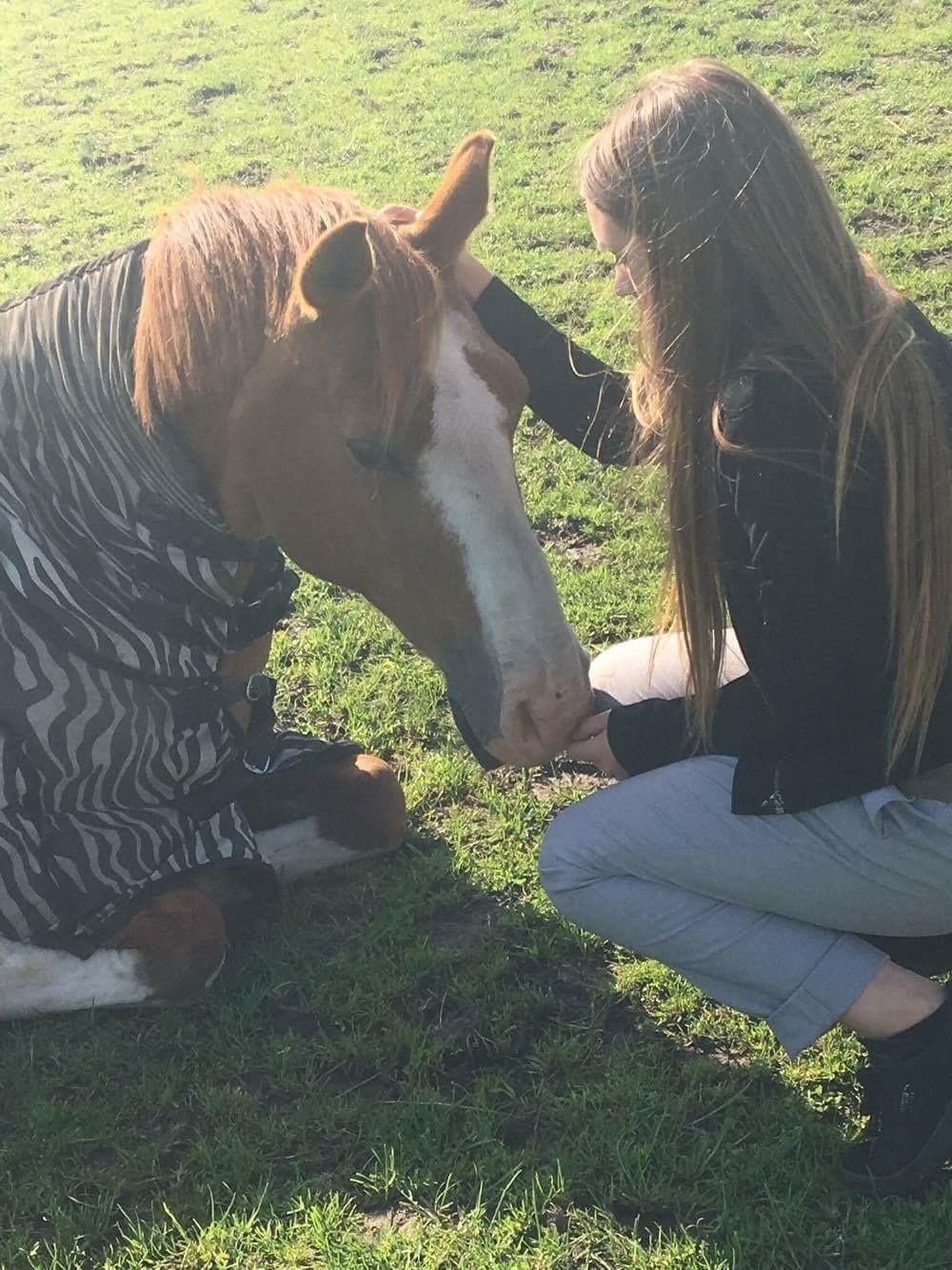 DSP Flicha billede 19