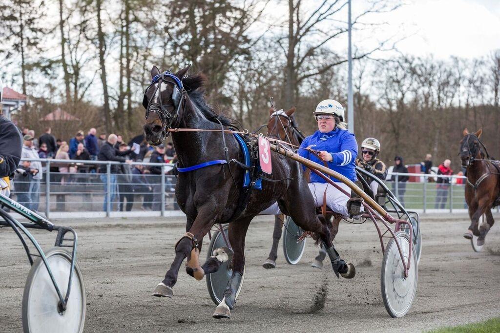 Traver Raul Epice billede 3