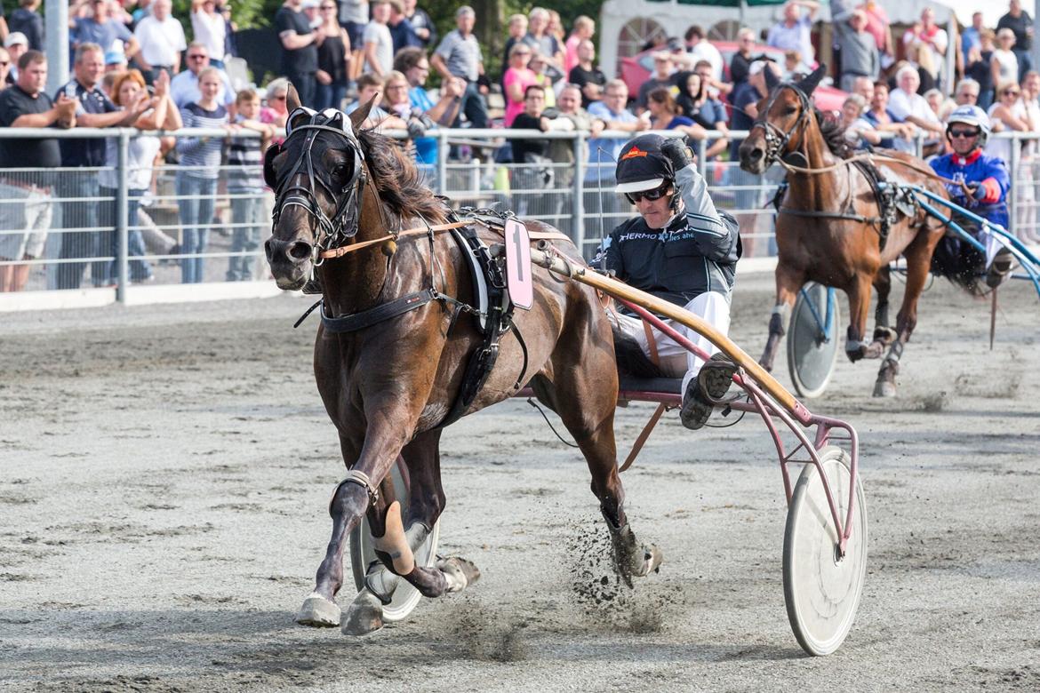 Traver Raul Epice billede 7