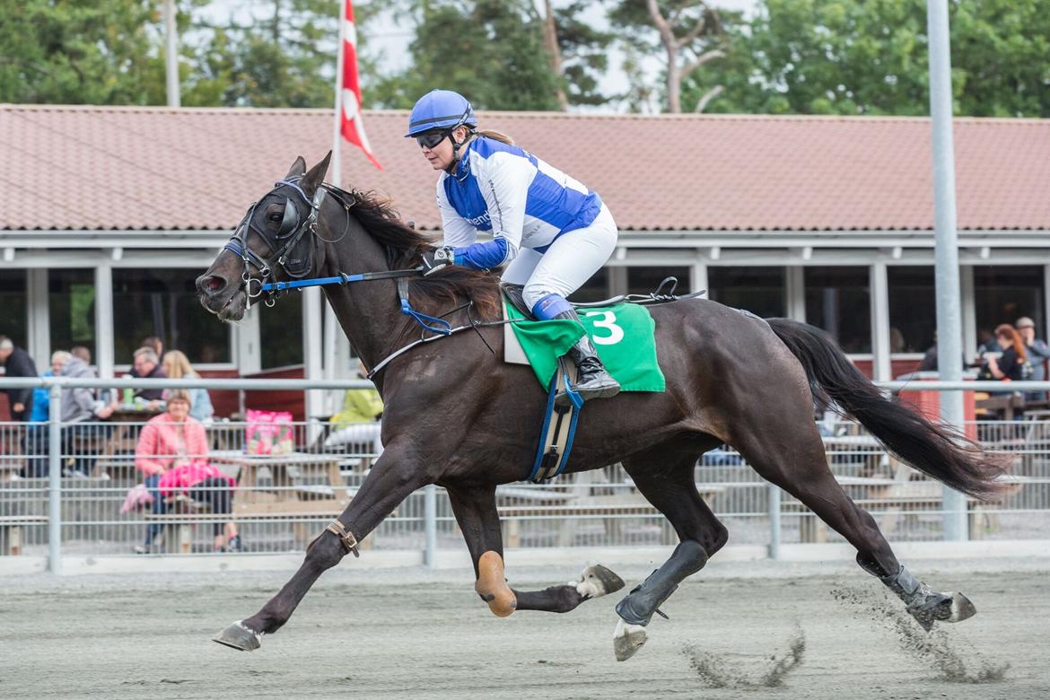 Traver Raul Epice billede 9