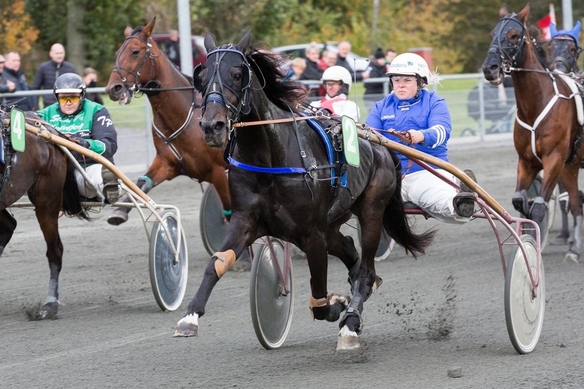 Traver Raul Epice billede 10