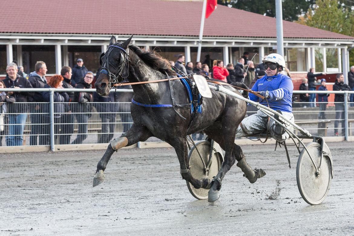 Traver Raul Epice billede 11