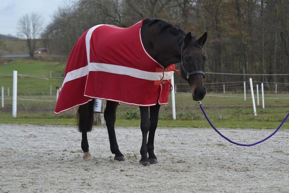 Anden særlig race Chiquita (Banan)  billede 8