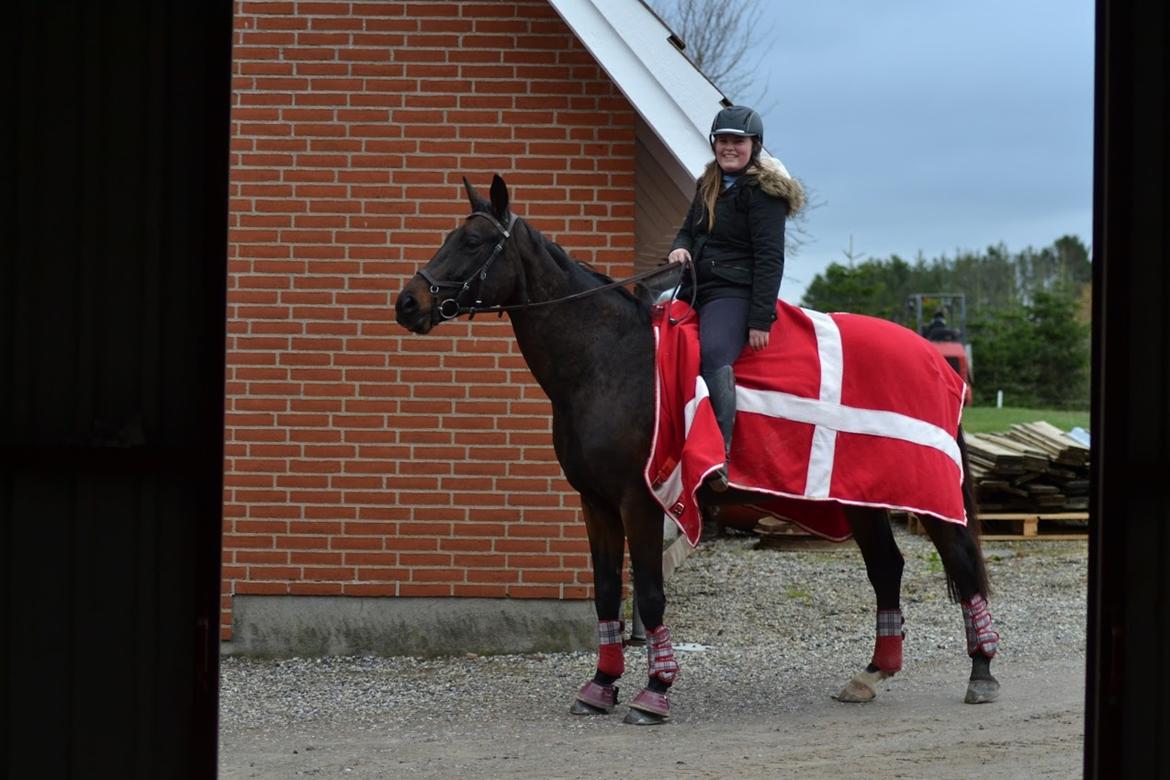 Anden særlig race Chiquita (Banan)  billede 10